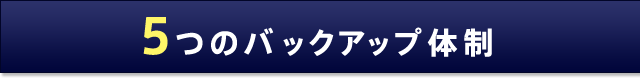 5つのバックアップ体制